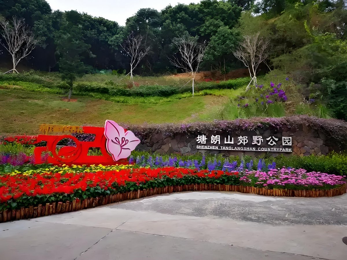 图片描述